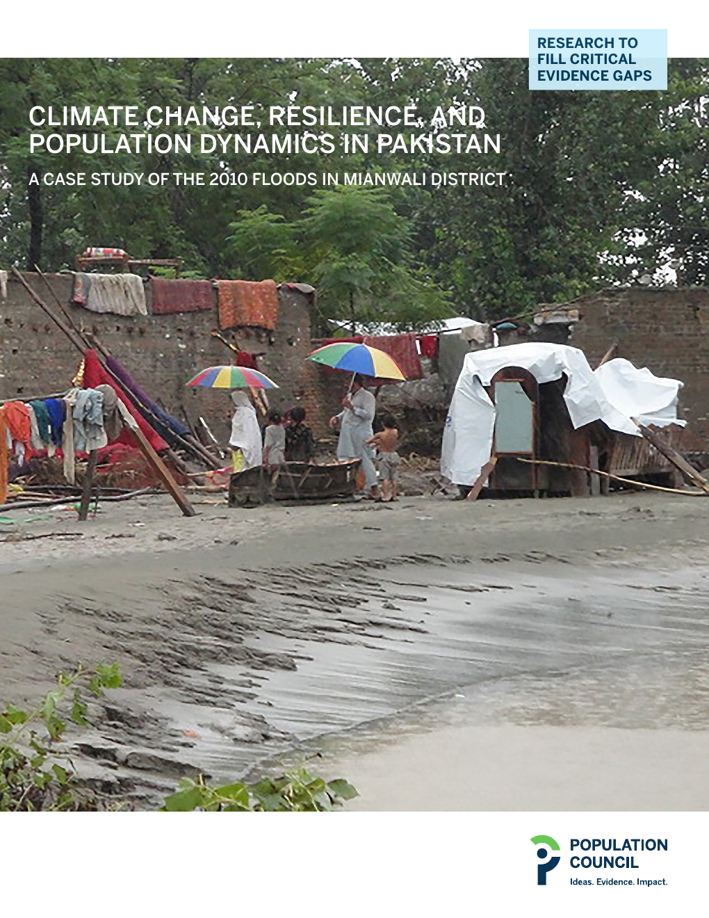 Climate Change, Resilience, and Population Dynamics in Pakistan: A Case Study of the 2010 Floods in Mianwali District cover